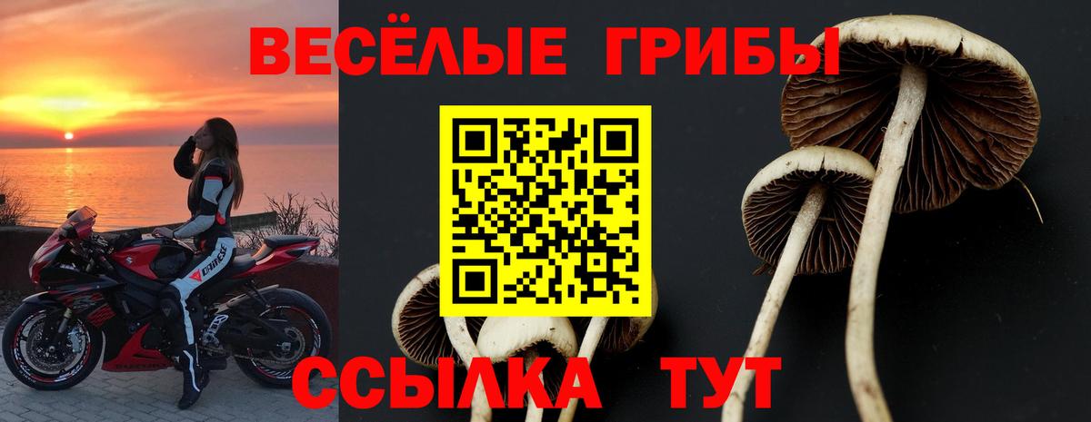Псилоцибиновые грибы Cubensis  Вход с VPN  Орёл  Галлюциногенные грибы GOLDEN TEACHER 